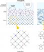 Organic bioelectronics: how electrically conductive polymers help combine electronics and living tissue Conducting polymers are the basis of 21st century electronics