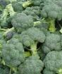 Selecting, Preparing and Freezing Broccoli