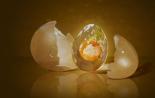 Signs about a broken egg: what could happen?