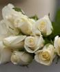 К чему дарят белые розы и что они символизируют?