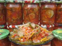 Salát okurky rajčata mrkev cibule