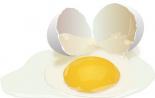 Neden bir yumurtadan çıkmayı hayal ediyorsun?